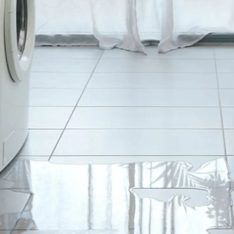 Appliance Leak Cleanup in Redington Shores, FL
